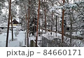 Falling snow in a winter gardens with snow-covered trees 84660171