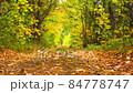 Pathway through the autumn forest. Falling leaves 84778747
