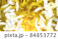 Background video of soaring feathers (yellow) 84853772