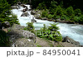 River in summer mountain forest 84950041