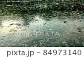 Floating dirty pollution on moving water from a canal 84973140