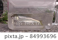 魚 オイカワ 84993696