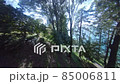 Drone flight in the forests of Georgia 85006811