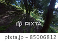 Drone flight in the forests of Georgia 85006812
