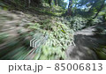 Drone flight in the forests of Georgia 85006813