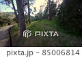 Drone flight in the forests of Georgia 85006814