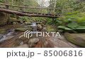 Drone flight in the forests of Georgia 85006816