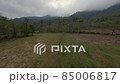 Drone flight in the forests of Georgia 85006817