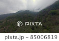 Drone flight in the forests of Georgia 85006819