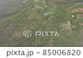 Drone flight in the forests of Georgia 85006820