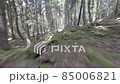 Drone flight in the forests of Georgia 85006821