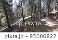 Drone flight in the forests of Georgia 85006822