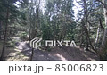 Drone flight in the forests of Georgia 85006823