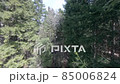 Drone flight in the forests of Georgia 85006824