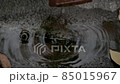 Shrine waters 85015967