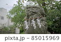 Shrine guardian dog 85015969