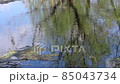 Ripples in the water. A blue sky and a green tree are reflected in the water. 85043734