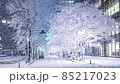 Heavy snowfall in Tokyo Marunouchi Building Street Fix 85217023