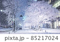 Zoom in on Tokyo Marunouchi Building Street in heavy snow 85217024