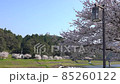 <Shimane Prefecture> Tsukiyama Tomita Castle Ruins and Cherry Blossoms 85260122