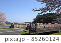 <Shimane Prefecture> Yasugi City, a row of cherry blossom trees on the Iinashi River, Tomidabashi 85260124