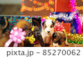 Getting Christmas Dog Present, Xmas Box Decor with Puppies, Birthday surprise Ideas. 85270062