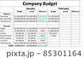 Typing Company Expense Financial Figures Numbers Budgeted For The Current Period in Spreadsheet. Type Up Budget Revenue and Cost For Profit in Worksheet File For Business. Budgeting Corporation Expect 85301164