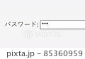 Japanese. Typing in Secure Password to Login Online Website. Type Secret Word to Access Security Web Page on Computer Device Screen Monitor. 85360959