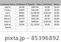 Typing Company Payroll Financial Figures Numbers For The Current Period in Spreadsheet. Type Up Employee Pay and Overtime in Worksheet File For Business. Corporation Regular Salary. 85396892