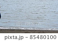 砂浜をさみしそうに歩く男性 85480100