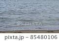 波打ち際でジャンプする魚 85480106