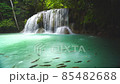Waterfalls and fish swim in the emerald blue water in Erawan National Park. Erawan Waterfall is a beautiful natural rock waterfall in Kanchanaburi, Thailand.Onsen atmosphere. Fresh nature.4K 85482688