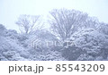 雪景色 85543209