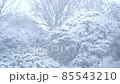 雪景色 85543210