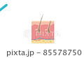 2D animation of disposable razor shaving hair. Body hair removal, depilation, beauty. For topics like skincare, grooming, blade 85578750