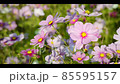 宇宙02 85595157