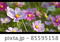 宇宙03蜜蜂 85595158