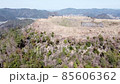 Aerial view approaching Kuroi Castle 85606362