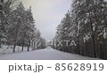 Beautiful winter road during snowfall, slow motion, trees on the edges 85628919
