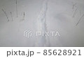 Human footprints in the snow in winter, slow motion 85628921