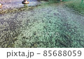 High sea of transparency 85688059