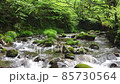川　ドローン 85730564