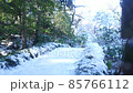 有雪的冬季公園 85766112