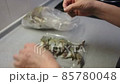 調理中の手元　海老の殻むき 85780048