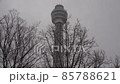 從山下公園看到的海洋塔在雪景中 從山下公園看到的海洋塔在雪景中 85788621