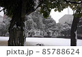 雪景中的山下公園 雪景中的山下公園 85788624