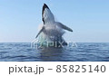 Humpback whale jumps out of the water 85825140