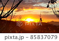 夕焼けじゃないよ…朝日だよ〜♪ 85837079