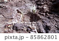 Steaming sulfuric fumaroles for futuristic sci-fi landscapes 85862801