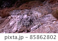 Steaming sulfuric fumaroles for futuristic sci-fi landscapes 85862802